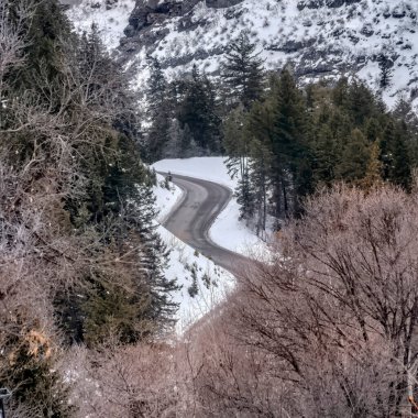 Kışın yapraksız ve yemyeşil ağaçların arasında dolambaçlı yolu olan kare manzaralı dağ.