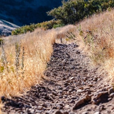 Kare çakıl yolu ya da kuru çimenler arasında yürüyüş yolu