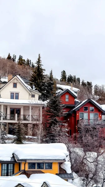 Vertical crop Snow covered hill brightened by colorful homes and lush evergreens in winter