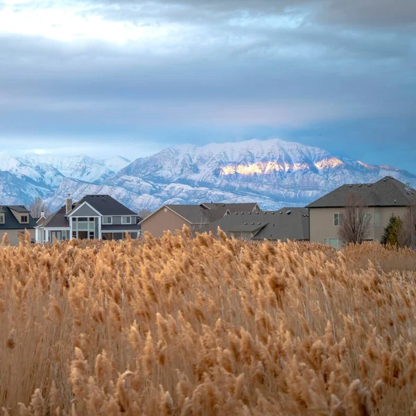 Casas cuadradas y montaña nevada iluminada por el sol en invierno con hierbas borrosas en primer plano —  Fotos de Stock