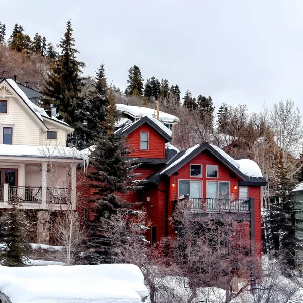 Square crop Snow covered hill brightened by colorful homes and lush evergreens in winter