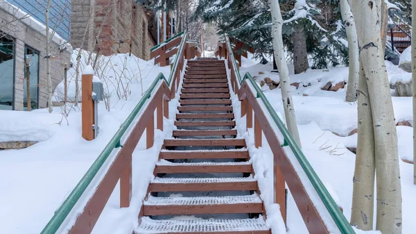 Panorama Escalera metálica de rejilla en medio de árboles y construcción en una colina nevada en invierno — Foto de Stock