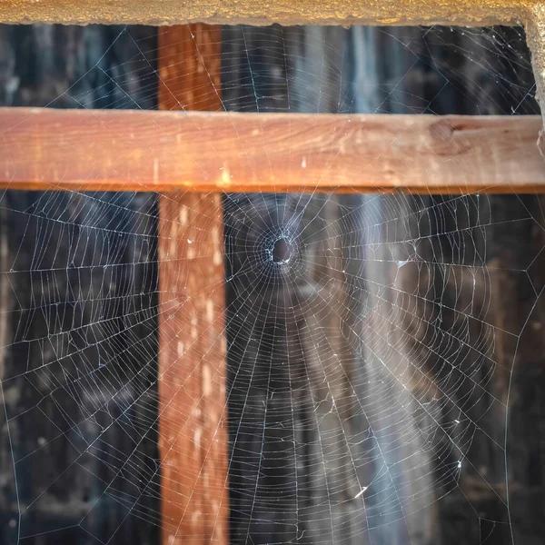 Квадратний урожай Класична кругла форма павук клин на отворі старої бетонної стіни — стокове фото