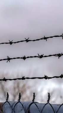 Dikey Sivri dikenli teller paslı zincirli tel örgü ve bulanık gökyüzü arkaplanı