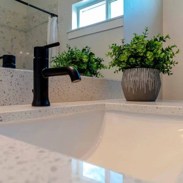 Rubinetto quadrato nero sopra il lavandino del bagno sotto il monte con pianta in vaso sul controsoffitto — Foto Stock