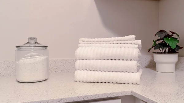 Panorama Laundry room with indoor plants folded towels and powder soap on the countertop — Stock Photo, Image