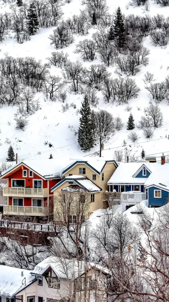 Vertical crop Snowy hill slope with colorful homes and thick layer of fresh snow in winter — Stock Photo, Image