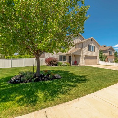 Güneşli bir günde mavi gökyüzü arkaplanı ile evin ön bahçesindeki kare yemyeşil ağaç