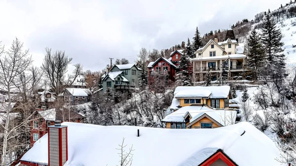 Panorama Snowy hill terrain with residential houses conifers and leafless trees in winter — Stock Photo, Image