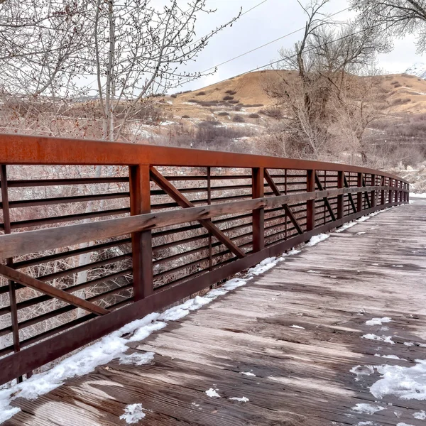 Jembatan tanaman persegi Menghadap lanskap bukit bersalju dan pohon terhadap langit berawan di musim dingin — Stok Foto