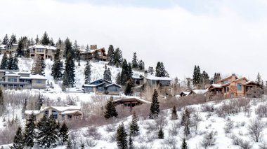 Park City Utah 'taki Panorama Manzaralı dağ. Taze kış karları altında evleri ve ağaçları var.