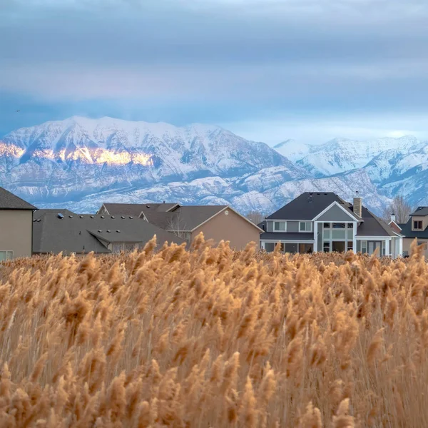 Cadre carré Maisons et montagne enneigée ensoleillée en hiver avec des herbes floues au premier plan — Photo