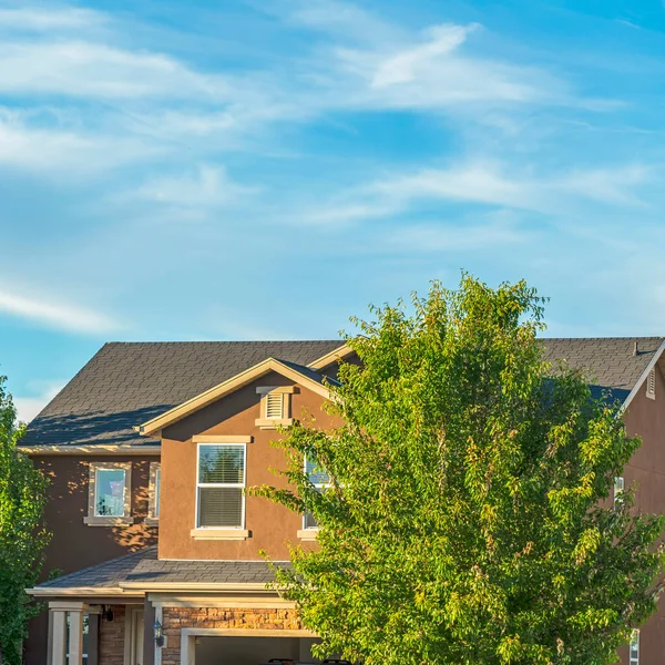 Square Home umgeben von üppigen grünen Bäumen mit blauem Himmel Hintergrund an einem sonnigen Tag — Stockfoto