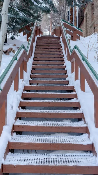 Vertikale Ernte Gitter Metalltreppe inmitten von Bäumen und Gebäude auf malerischen schneebedeckten Hügel im Winter — Stockfoto