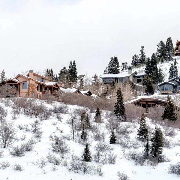 Square frame Scenic mountain in Park City Utah with houses and trees amid fresh winter snow — Stock Photo, Image