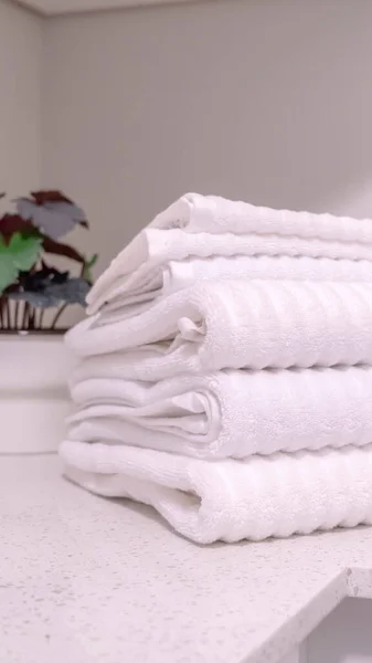 Κάθετες διπλωμένες λευκές πετσέτες και διακοσμητικό φυτό εσωτερικού χώρου στον πάγκο του μπάνιου — Φωτογραφία Αρχείου