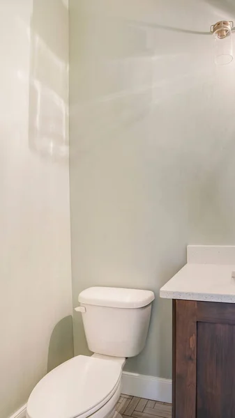 Függőleges víznyelő és csaptelep fehér pult fölött fából készült szekrény mellett fürdőszoba WC — Stock Fotó