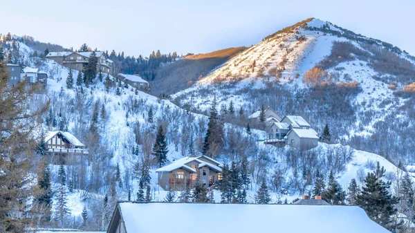 冬季，公园市山上的全景雪崩，房屋在阴霾的天空下 — 图库照片