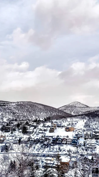 Függőleges termés Házak ülnek egy hegyen Park City örökzöldek és hó télen — Stock Fotó