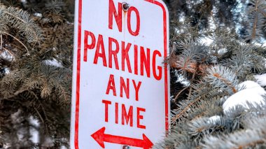 Panorama Kışın karlı kozalaklı ağaçların bulanık yaprakları üzerine park işareti yok