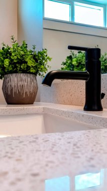 Dikey Alt Atlı banyo lavabosu, siyah musluk ve tezgahta saksı bitkisi.