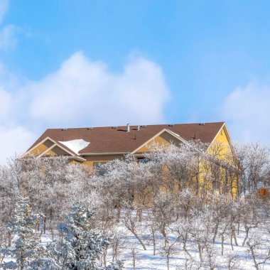 Kışın taze karın ortasında evleri olan Wasatch Dağları 'nın el değmemiş bir arazisi.