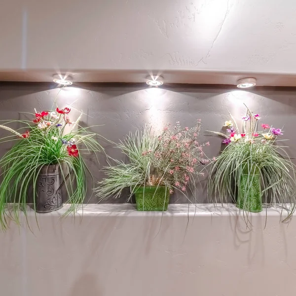 Alun-alun Tiga pengaturan bunga di dinding ruang kecil — Stok Foto