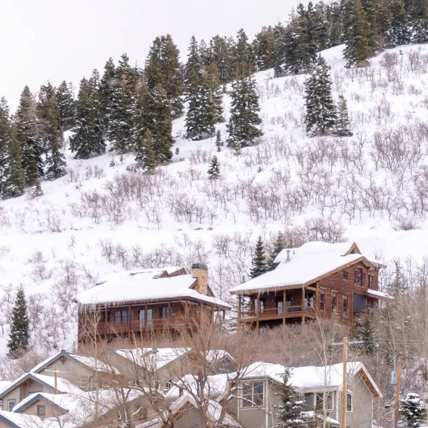 Châssis carré Cabanes résidentielles sur un quartier enneigé de montagne à Park City Utah en hiver — Photo