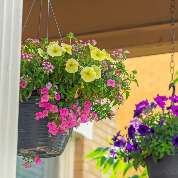 Square Colorful potted flowers hanging on chains at the porch of a lovely home — Stock Photo, Image