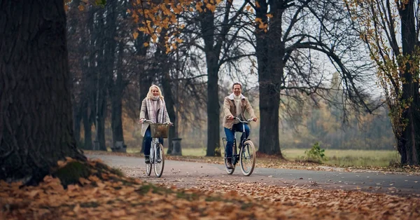 공원에서 매력적인 여자와 잘생긴 자전거 시간을 보내는 — 스톡 사진