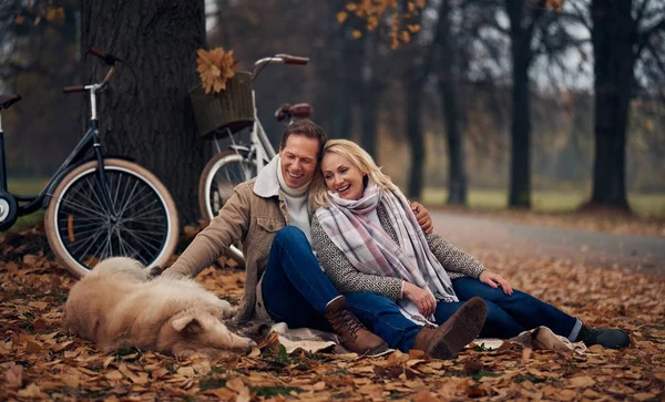 Pareja Mayor Caminando Parque Otoño Atractiva Mujer Hombre Guapo Pasar —  Fotos de Stock