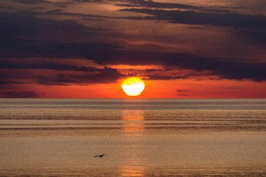 Porec, Hırvatistan, Europe yakınından Adriyatik Denizi on Sunset.