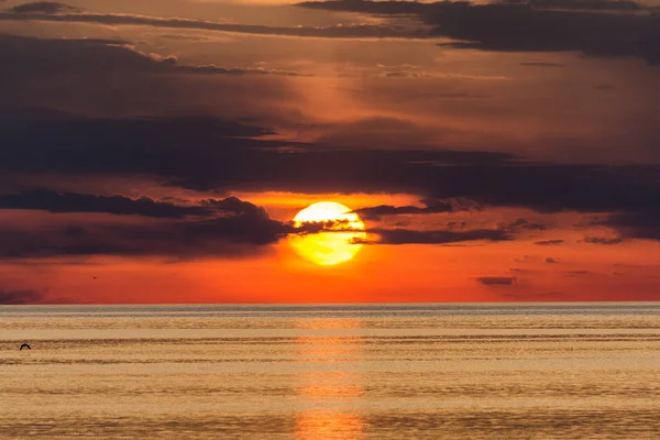 Pôr Sol Mar Adriático Perto Porec Croácia Europa — Fotografia de Stock