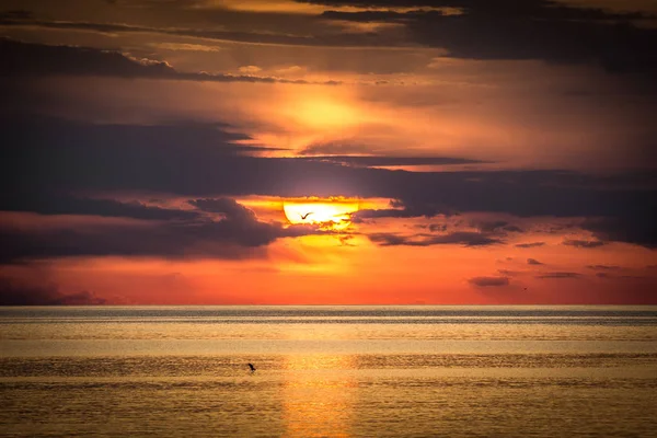 Pôr Sol Mar Adriático Perto Porec Croácia Europa — Fotografia de Stock