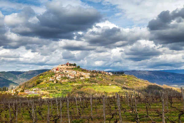 Vieille Ville Méditerranéenne Motovun Avec Campagne Environnante Sur Péninsule Istrie — Photo