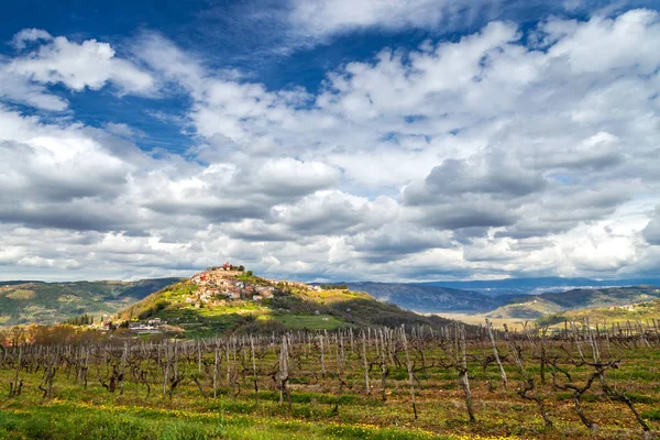 Old Mediterranean Town Motovun Surrounding Countryside Peninsula Istria Croatia Europe — Stock Photo, Image