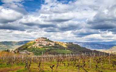 Eski Akdeniz Motovun beldesi ve çevresindeki kırsal Yarımadası Istria, Hırvatistan, Avrupa.