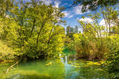 Temiz su, Milli Park Krka Hırvatistan, Europe ile güzel göl.