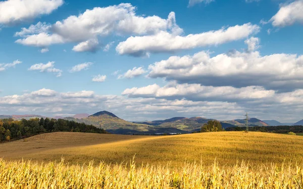 Ország Táj Szárított Kukorica Területen Egy Napsütéses Napon Kék Felhők — Stock Fotó