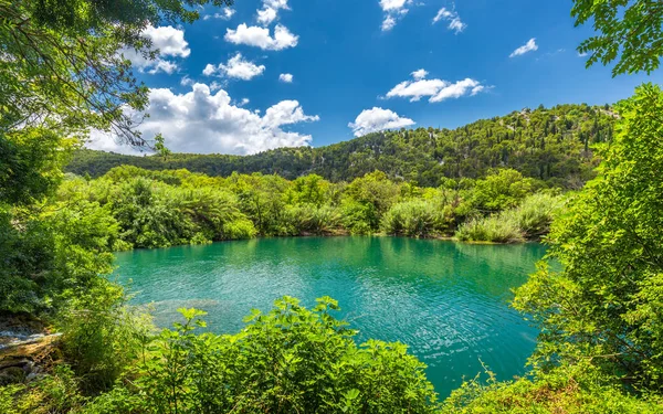 Lindo Lago Com Água Limpa Parque Nacional Krka Croácia Europa — Fotografia de Stock