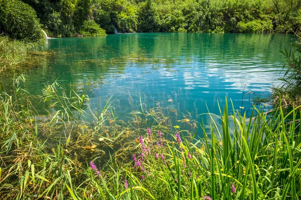 Lindo Lago Com Água Limpa Parque Nacional Krka Croácia Europa — Fotografia de Stock