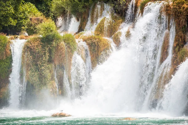 Prysznica Mewa Przy Wodospadzie Skradinski Buk Park Narodowy Krka Chorwacji — Zdjęcie stockowe