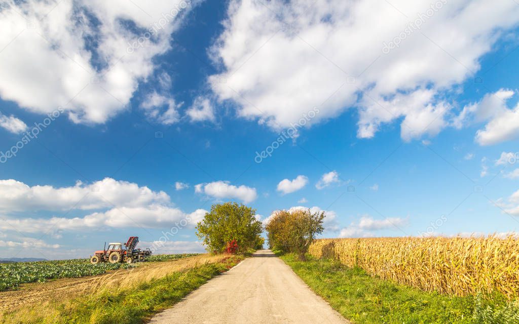 Road through the countryside with the fields at sunny day in autumn time.