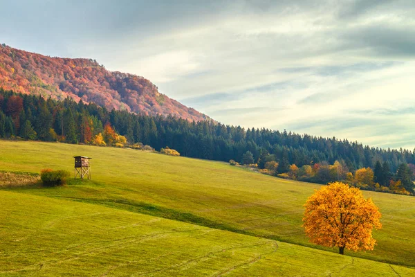 风景与树木在秋天的颜色 国家自然保护区 Sulov 斯洛伐克 — 图库照片