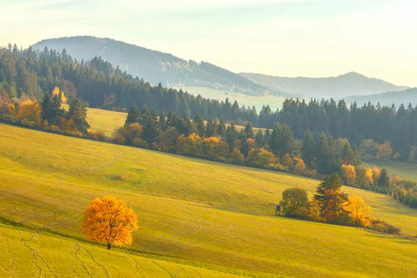 Landschap Met Een Bomen Herfst Kleuren National Nature Reserve Sulov — Stockfoto