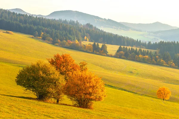 Landschap Met Een Bomen Herfst Kleuren National Nature Reserve Sulov — Stockfoto