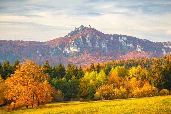 Landschap Met Een Bomen Herfst Kleuren Bergen Sulov Rotsen Natuurreservaten — Stockfoto