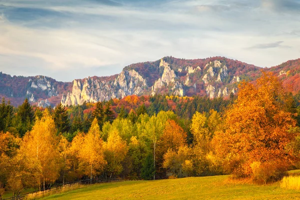 Ağaçlarda sonbahar renkleri ile manzara. Sulov dağlarında kayalar doğa rezervi, Slovakya, Avrupa.