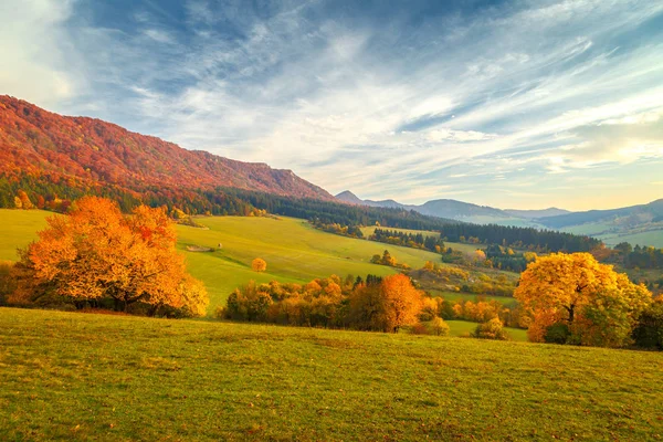 Yatay, ağaçlarda sonbahar renkleri, Ulusal Doğa rezerv Sulov kayalar, Slovakya, Europe.
