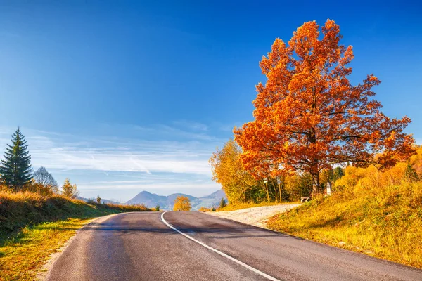 Güneşli bir sonbahar bir ülke üzerinden bir yol.